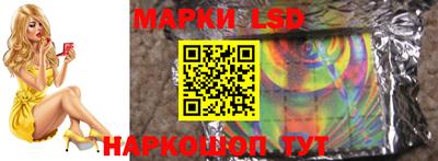 apvp Дубна