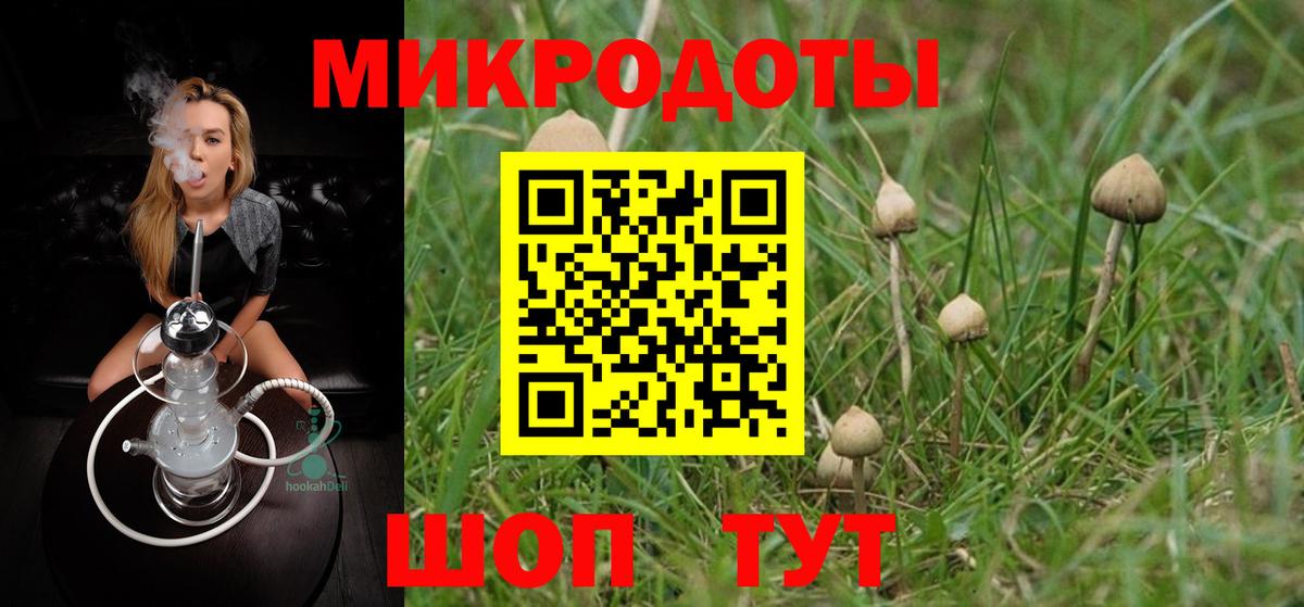 Псилоцибиновые грибы Psilocybine cubensis  где найти   Михайловка  Вход с VPN 